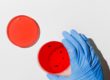 Coronavirus detection